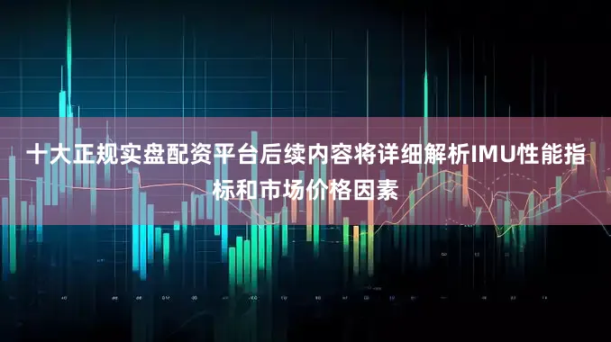 十大正规实盘配资平台后续内容将详细解析IMU性能指标和市场价格因素