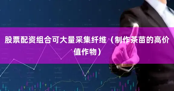 股票配资组合可大量采集纤维（制作茶苗的高价值作物）