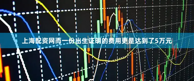 上海配资网而一份出生证明的费用更是达到了5万元
